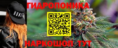 каннабис Ачхой-Мартан
