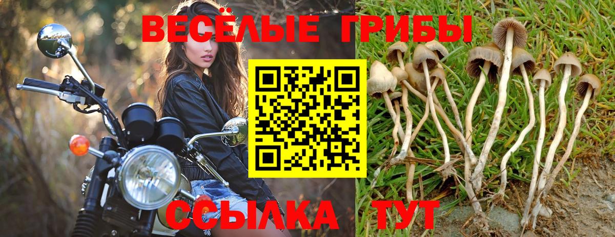 Галлюциногенные грибы MAGIC MUSHROOMS Ангарск