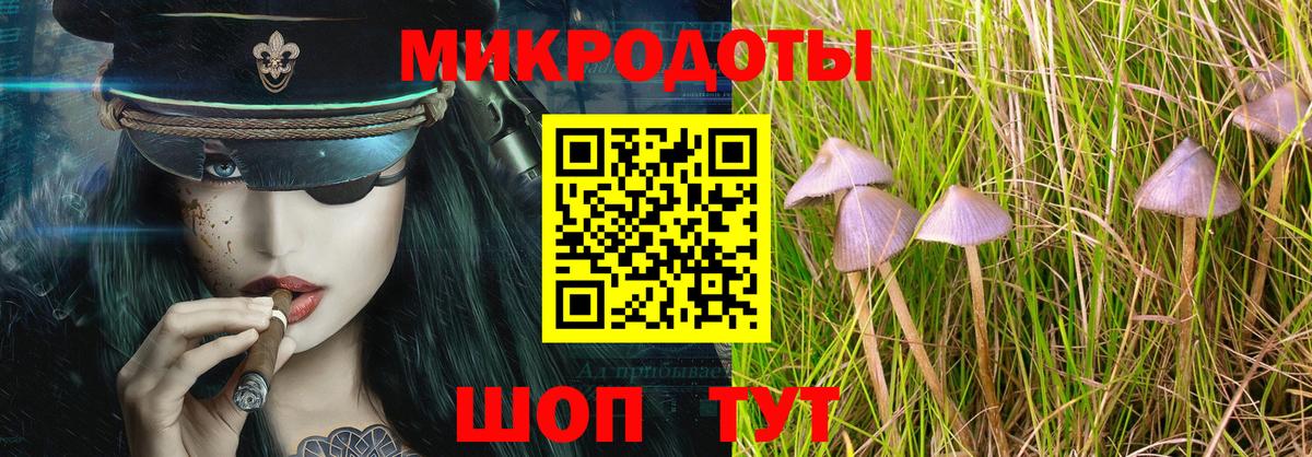 Ангарск  Псилоцибиновые грибы мицелий  продажа наркотиков  Вход с VPN 